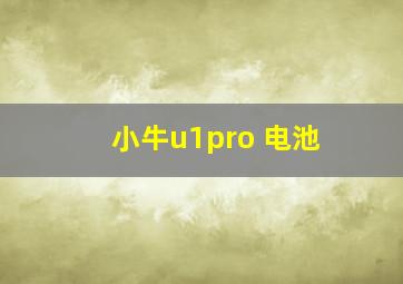 小牛u1pro 电池